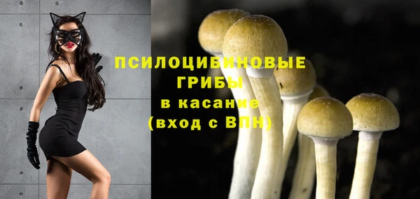 прущие грибы Балабаново