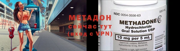 прущие грибы Балабаново