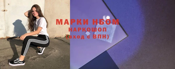 прущие грибы Балабаново
