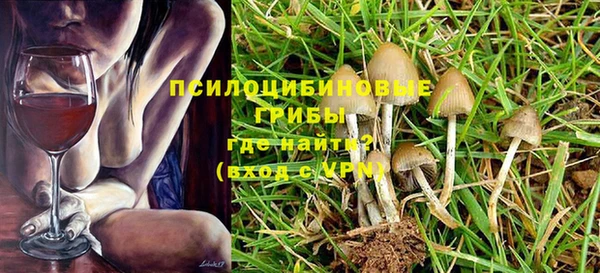 прущие грибы Балабаново