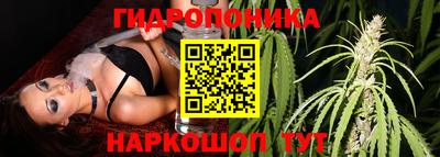 ALPHA PVP Абакан