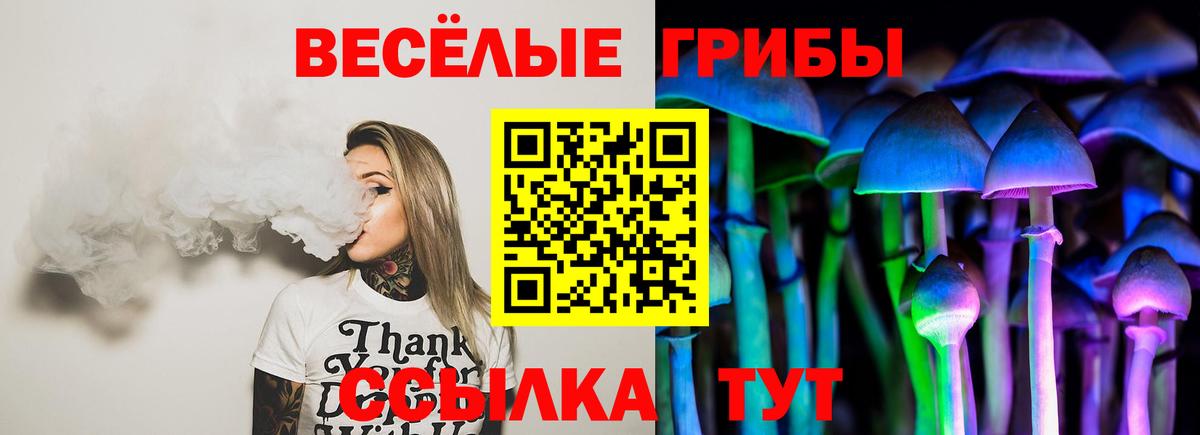 Галлюциногенные грибы мицелий Белово